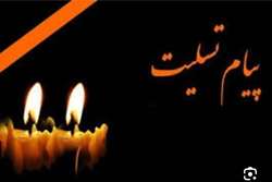 پیام تسلیت رییس بیمارستان ابن سینا در پی درگذشت استاد دکتر جمشید احمدی